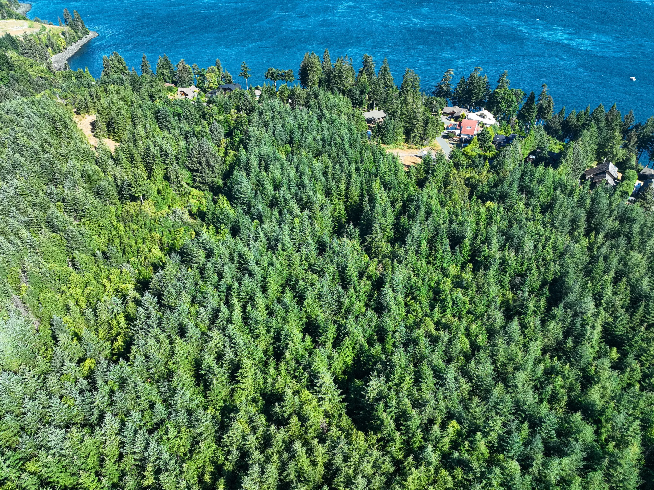 Lot 1 | Race Point Estates