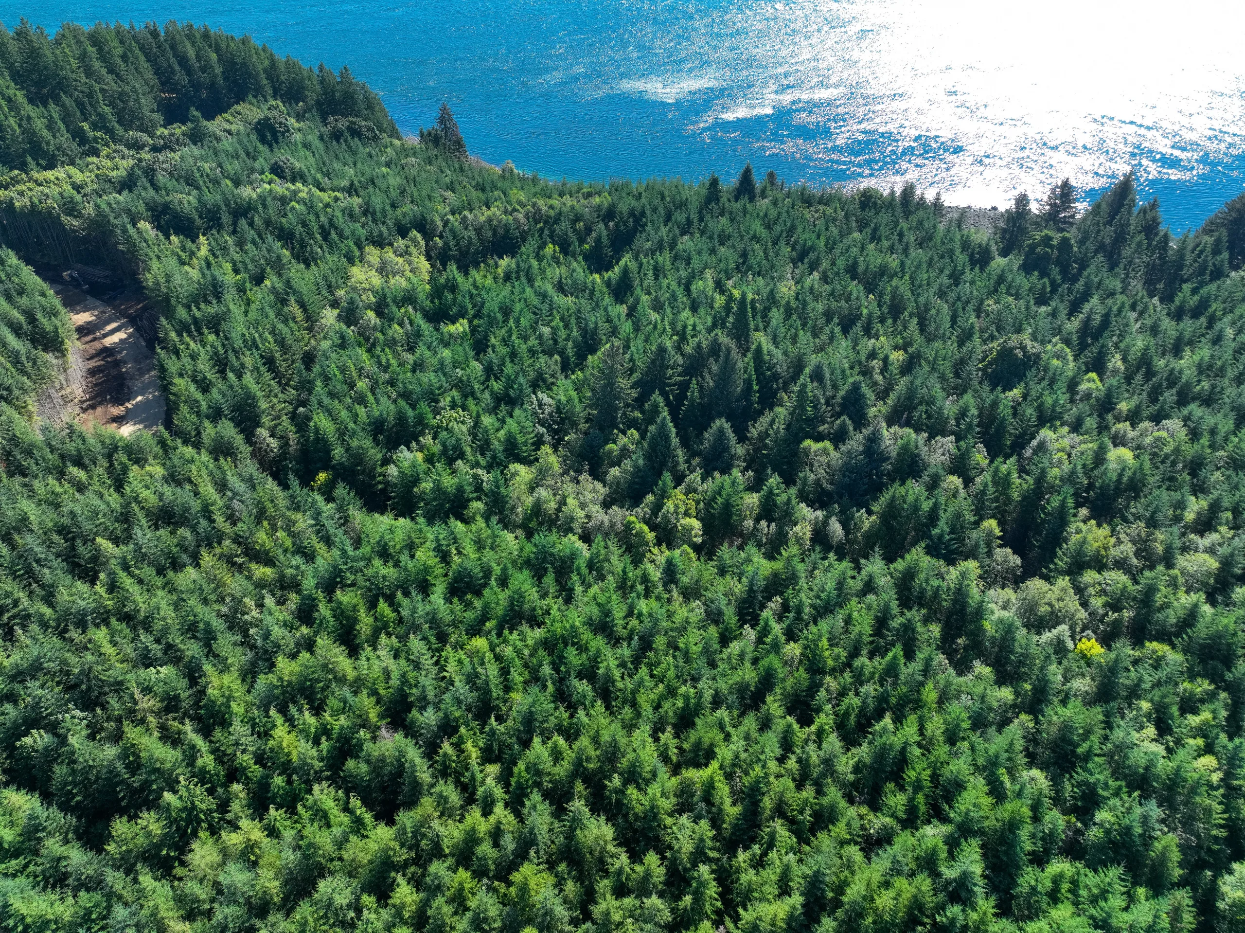 Lot 4 | Race Point Estates